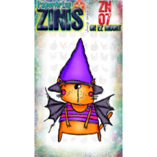 Zinis 07